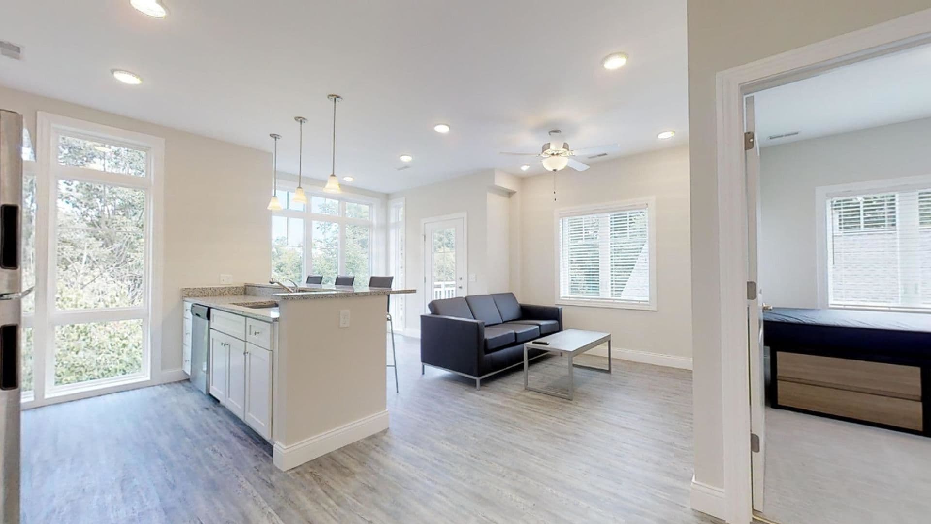 Champaign Apartment: 309 West Washington Street