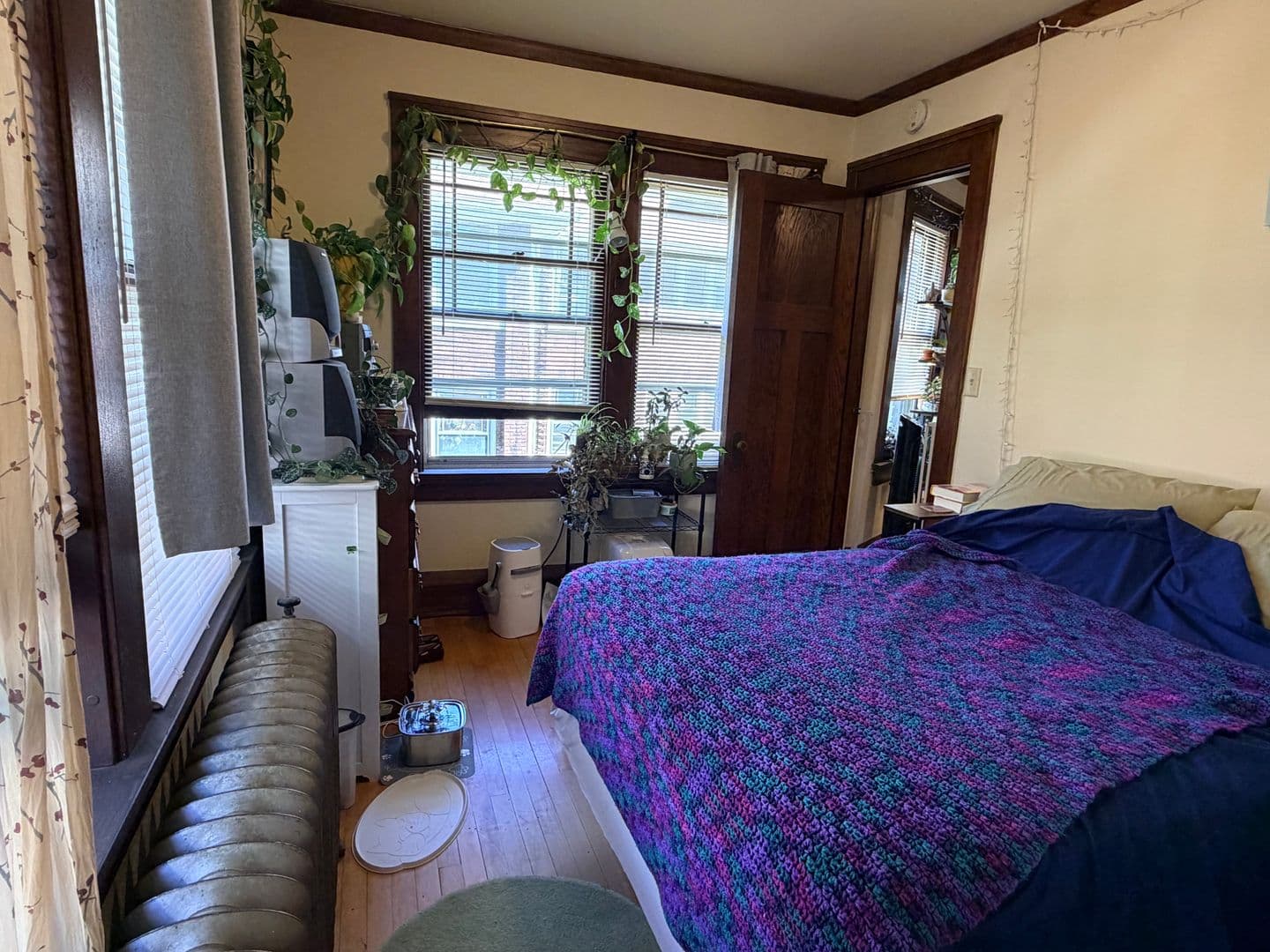Madison Apartment: 306 Norris Court