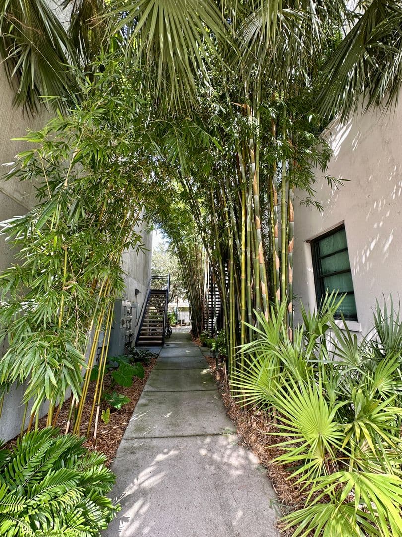 Savannah Condo: 536 Selma St