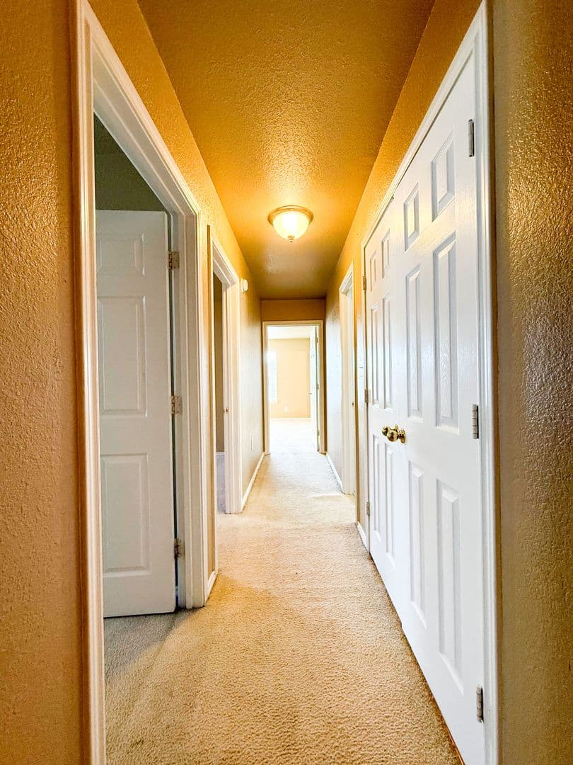 Harker Heights Apartment: 1712 Ute Trl