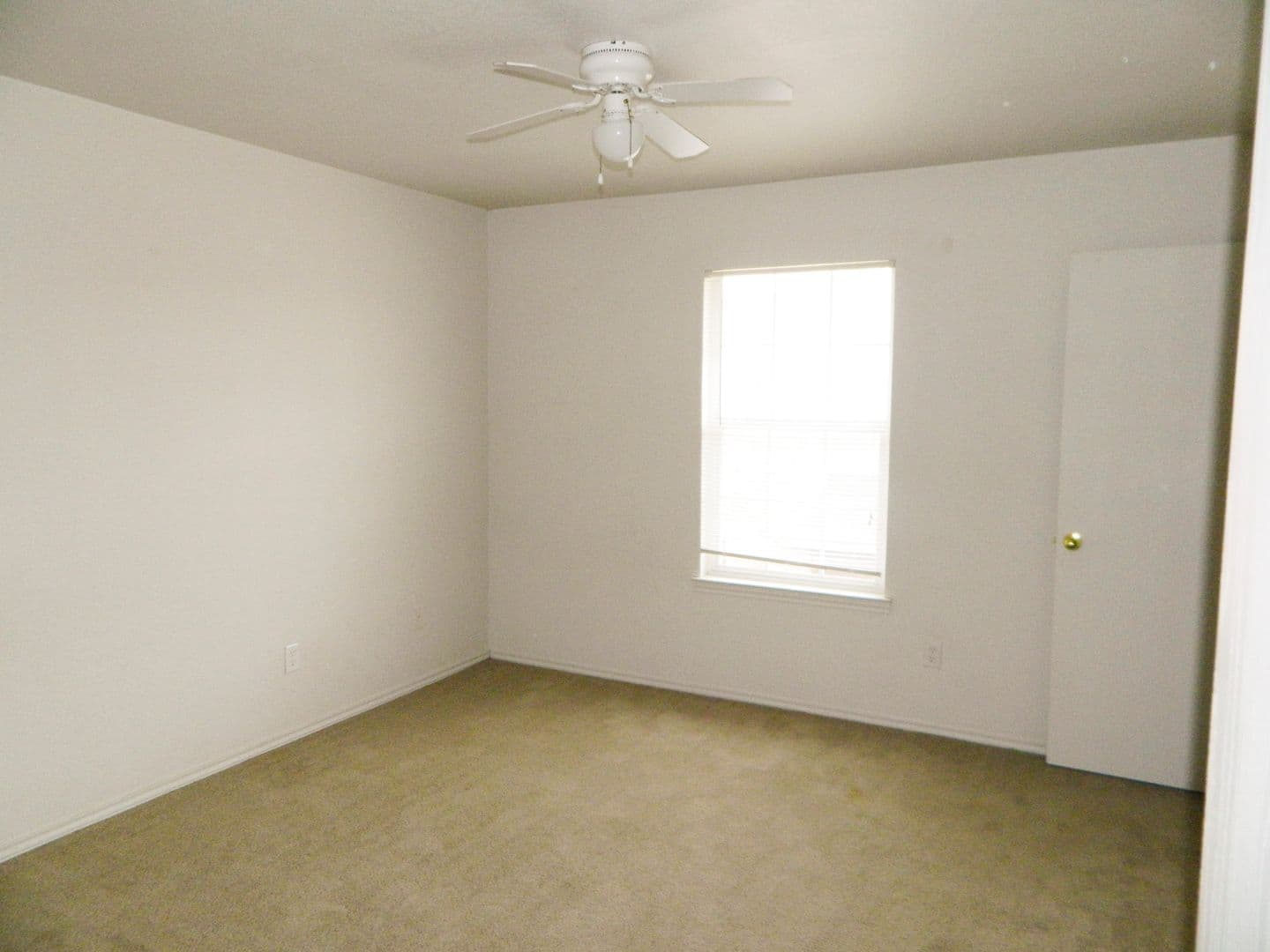Copperas Cove Apartment: 308 Creek St.