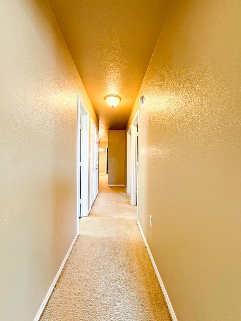 Harker Heights Apartment: 1712 Ute Trl
