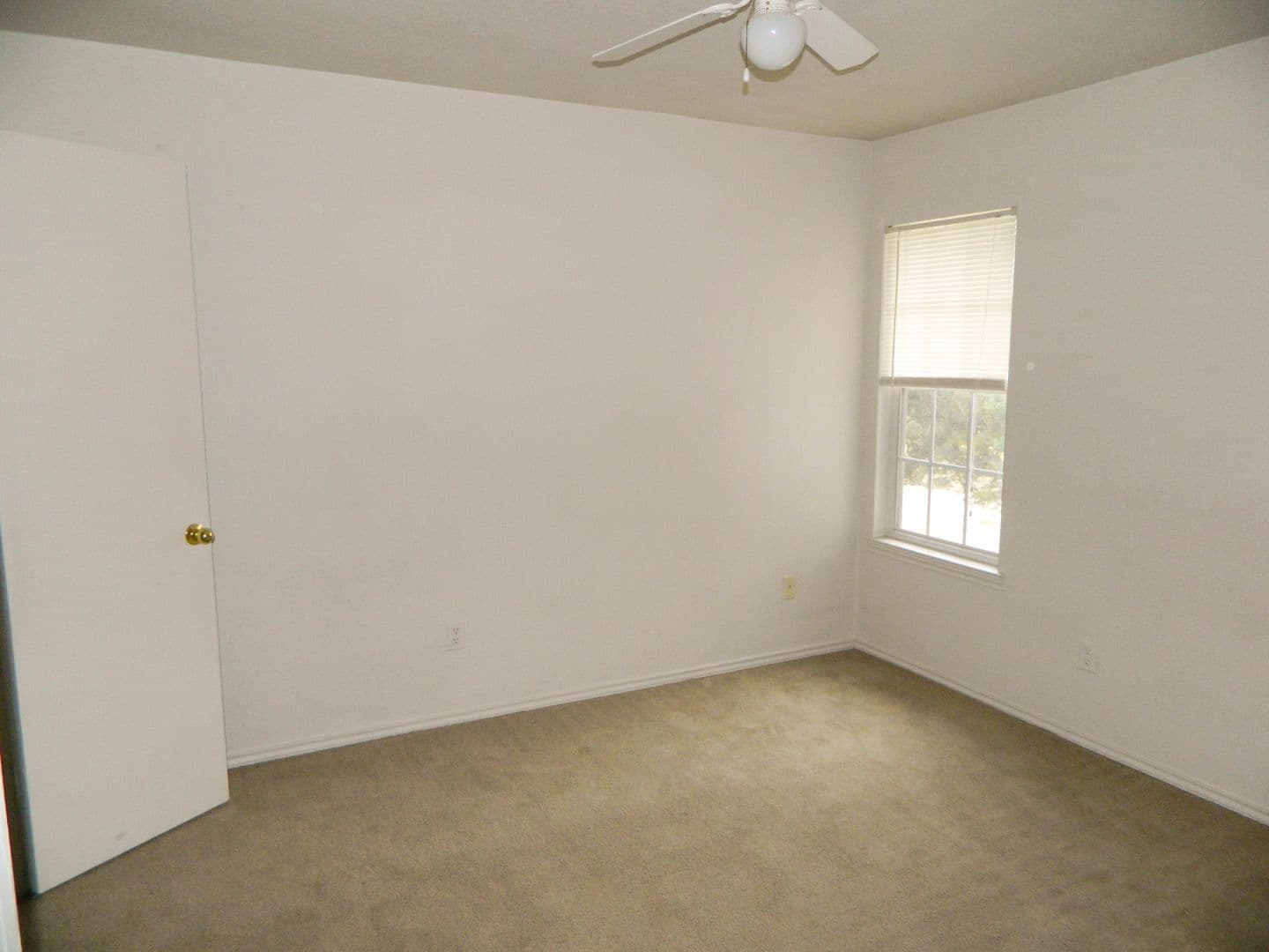Copperas Cove Apartment: 308 Creek St.
