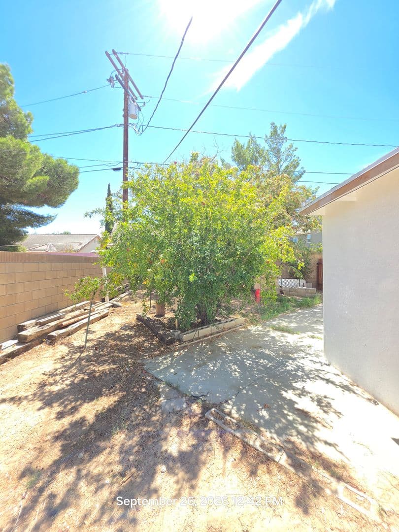 Lancaster Apartment: 1118 E Avenue K