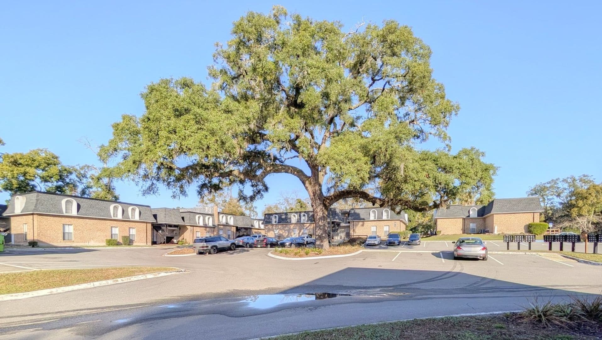 Jacksonville Apartment: 7201 Arlington Expy
