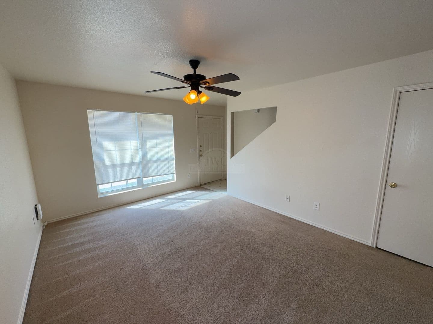 Killeen Apartment: 4301 Abigail Dr.