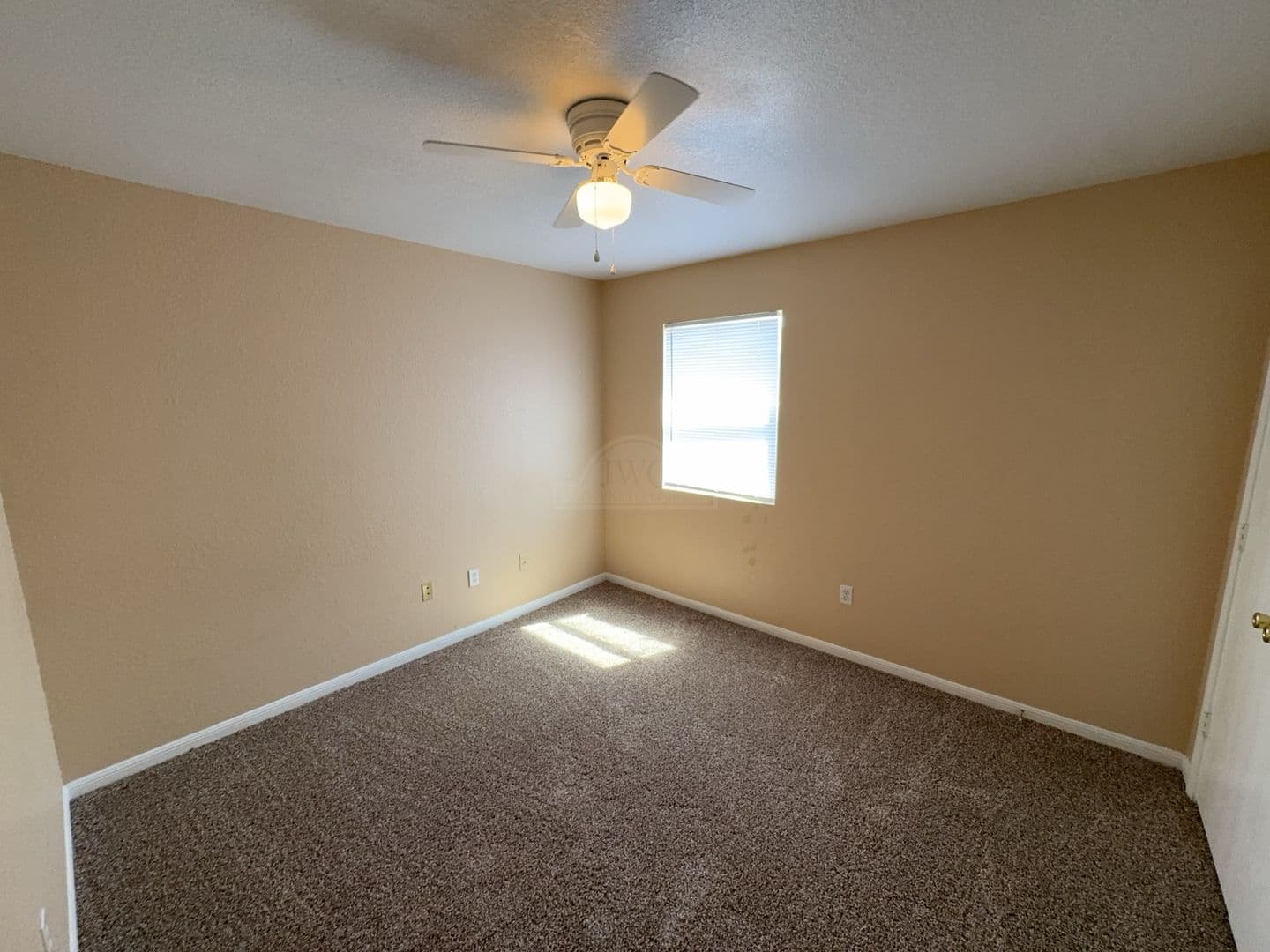 Killeen Apartment: 2814 Cantabrian