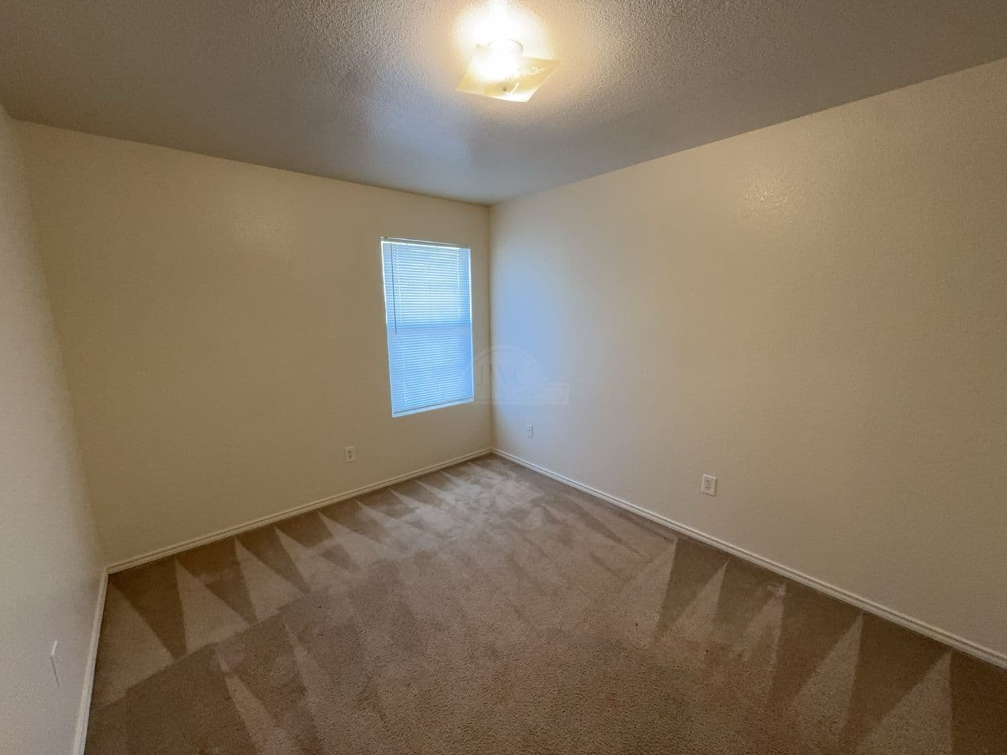 Killeen Apartment: 4301 Abigail Dr.