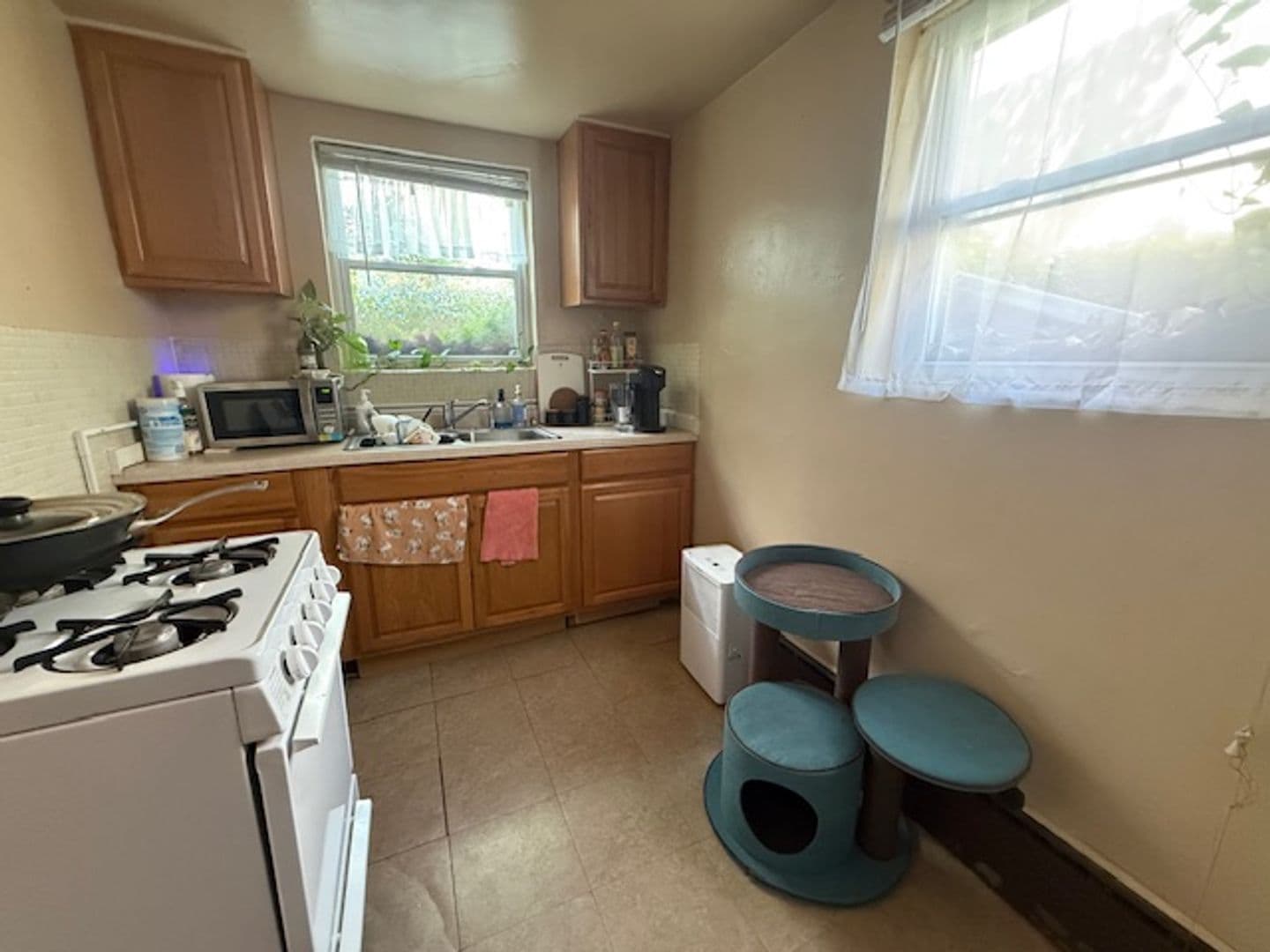 Urbana House: 606 E Elm #1