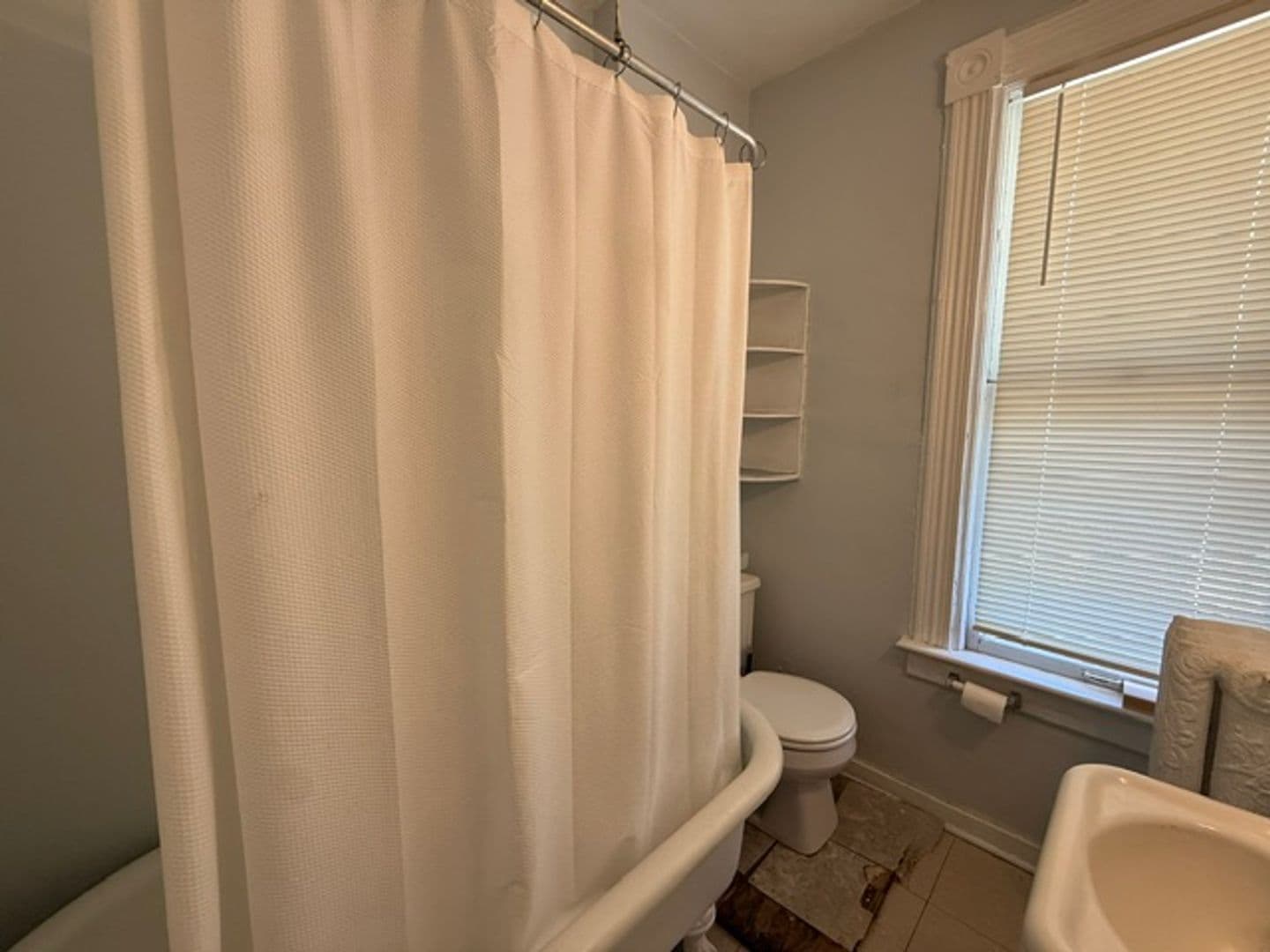 Urbana Apartment: 802 W Illinois