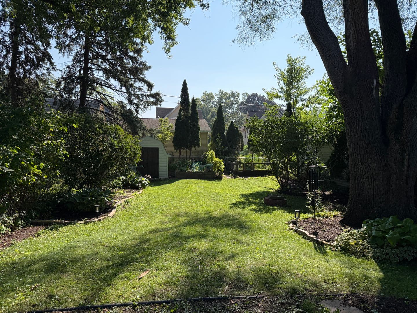 Madison House: 959 Lawrence St