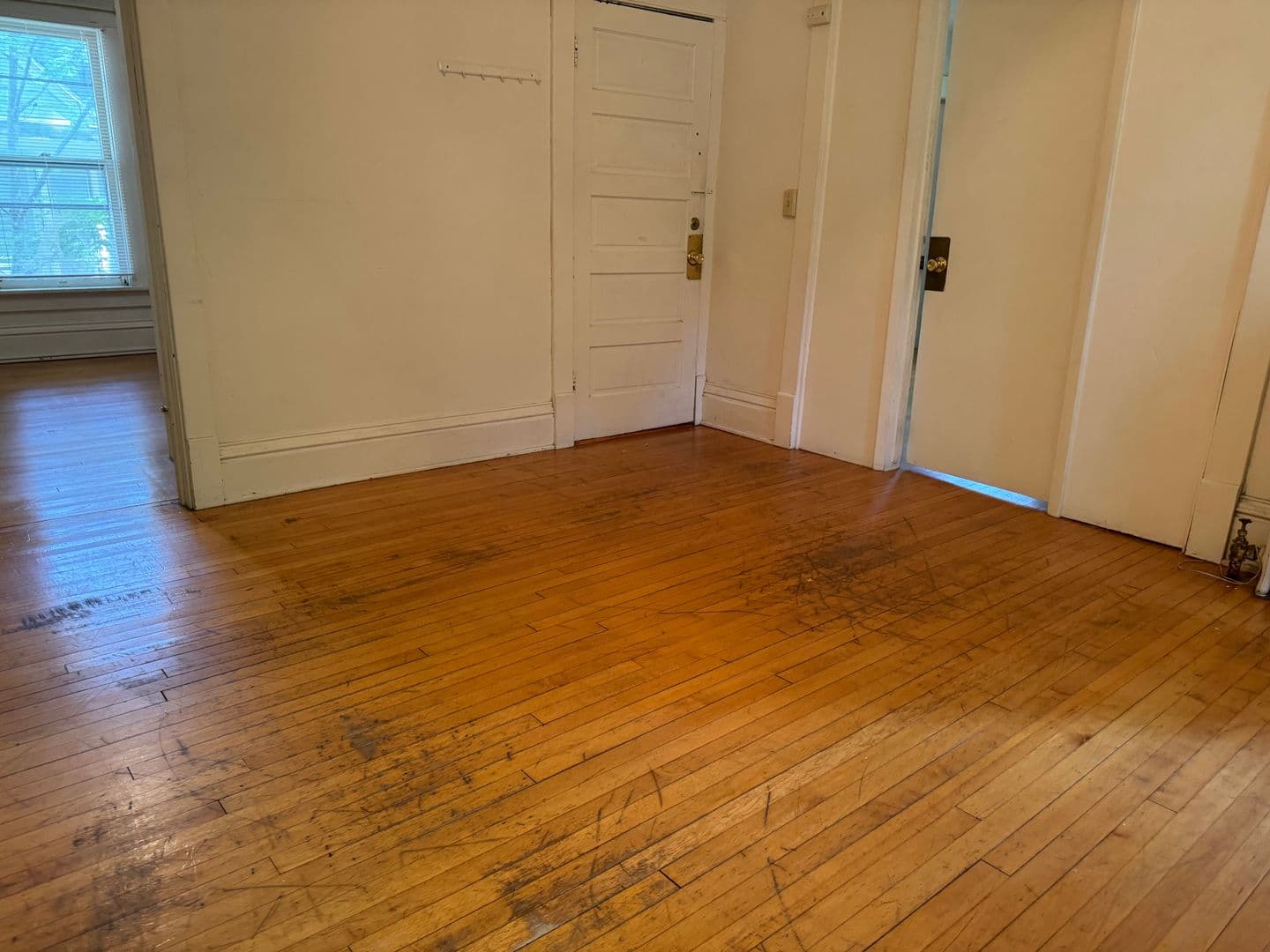 Madison Apartment: 1818-20 Madison St