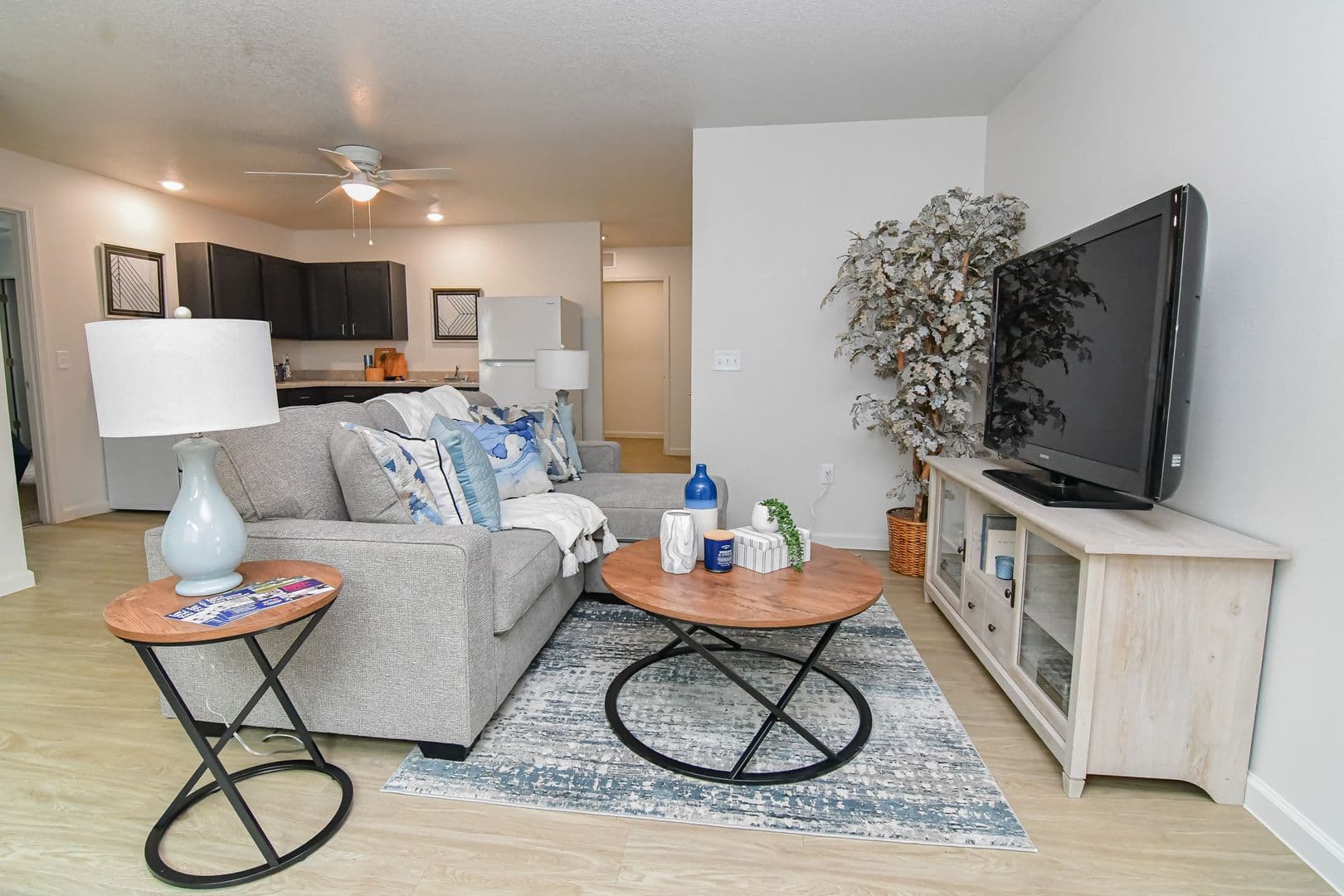 Boone Townhome: 680 S Marion St.