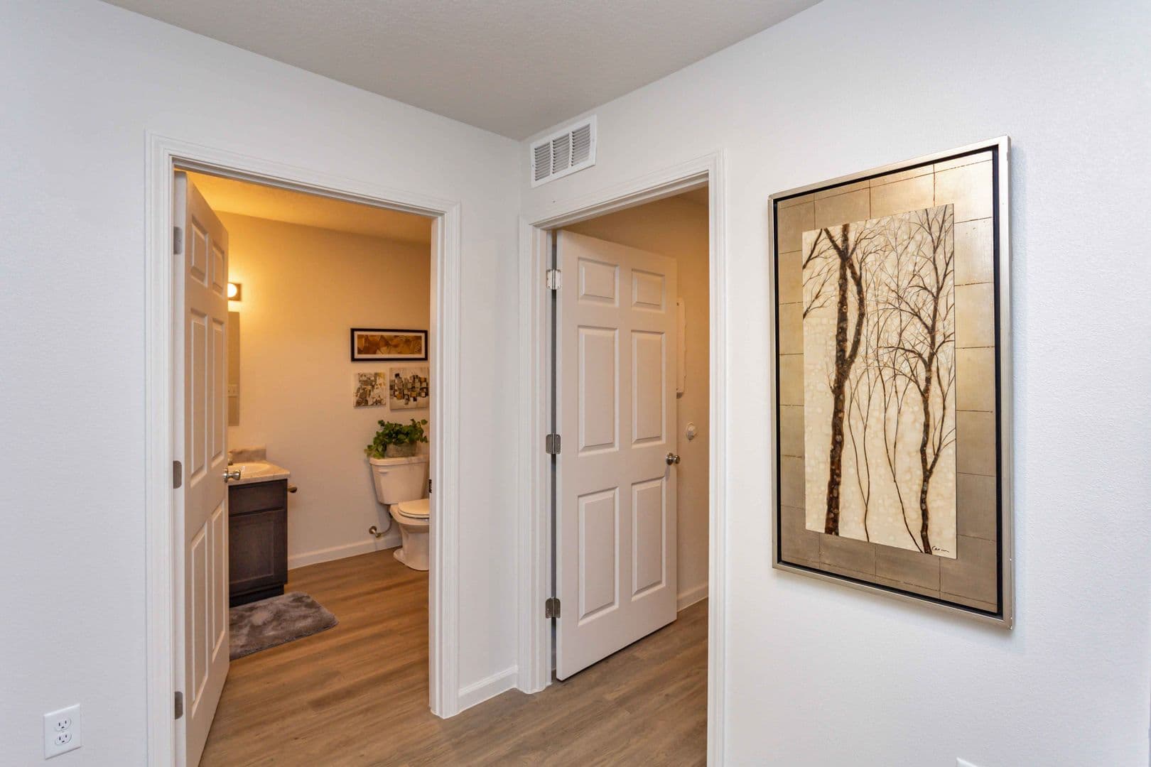 Knoxville Apartment: 509 W Bell Ave