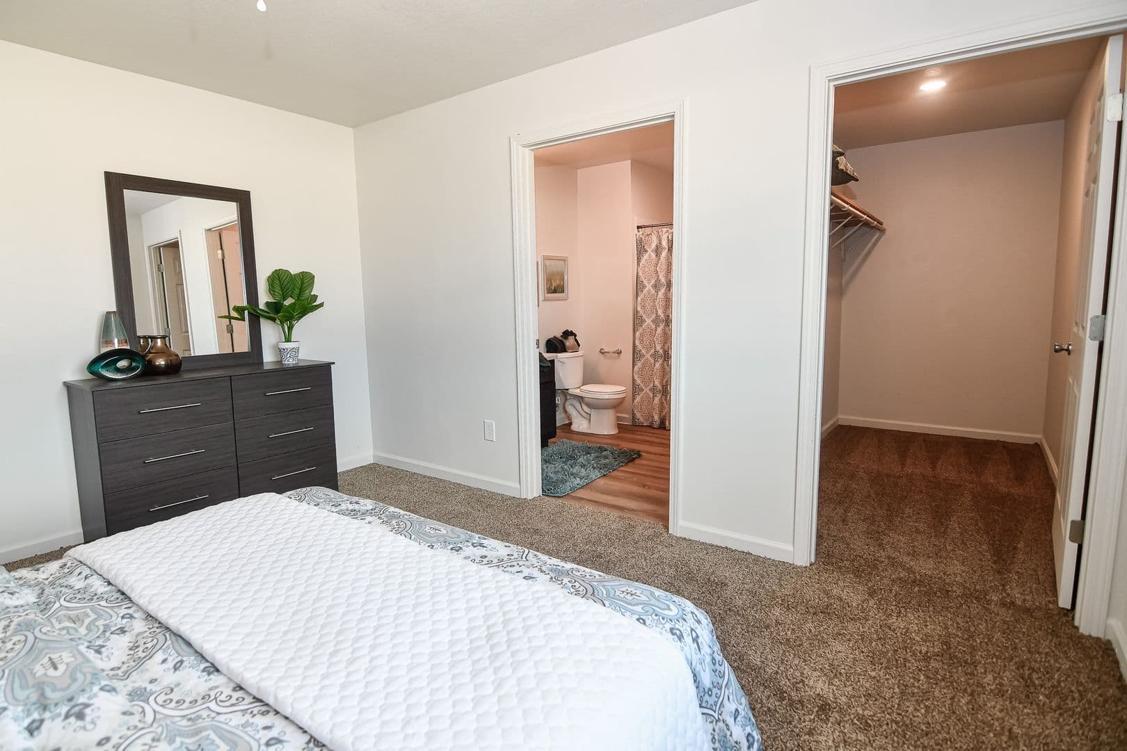Knoxville Apartment: 509 W Bell Ave
