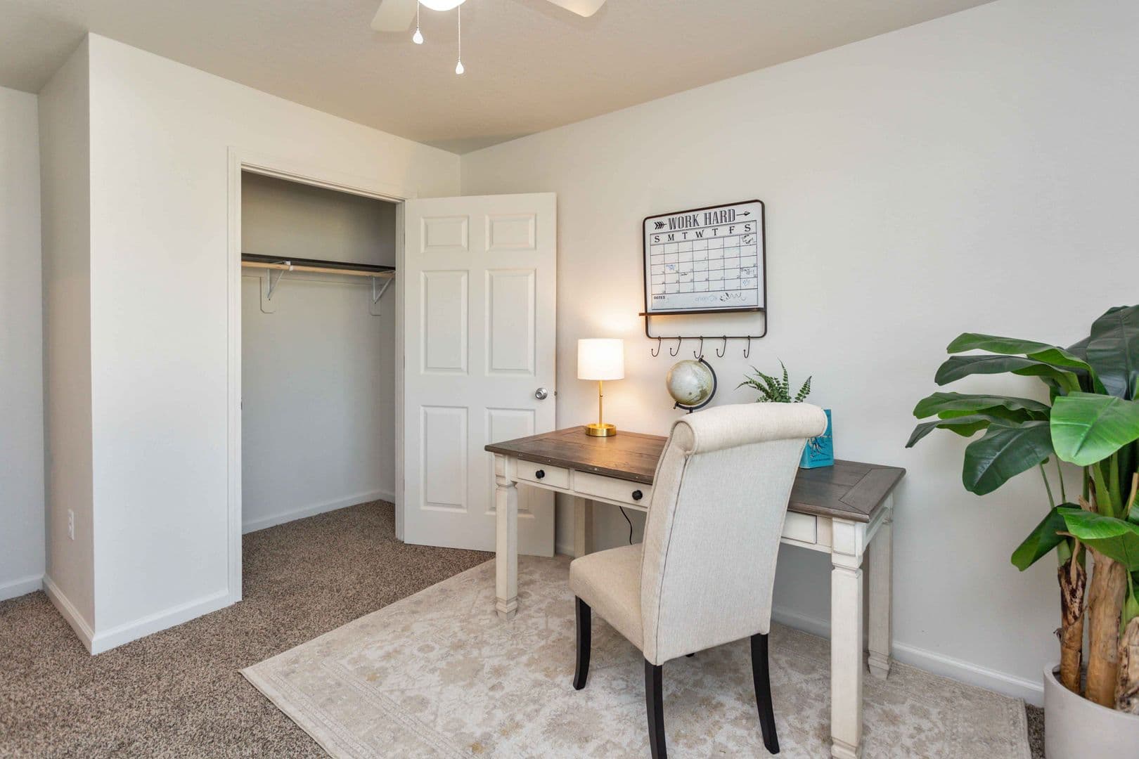 Knoxville Apartment: 509 W Bell Ave