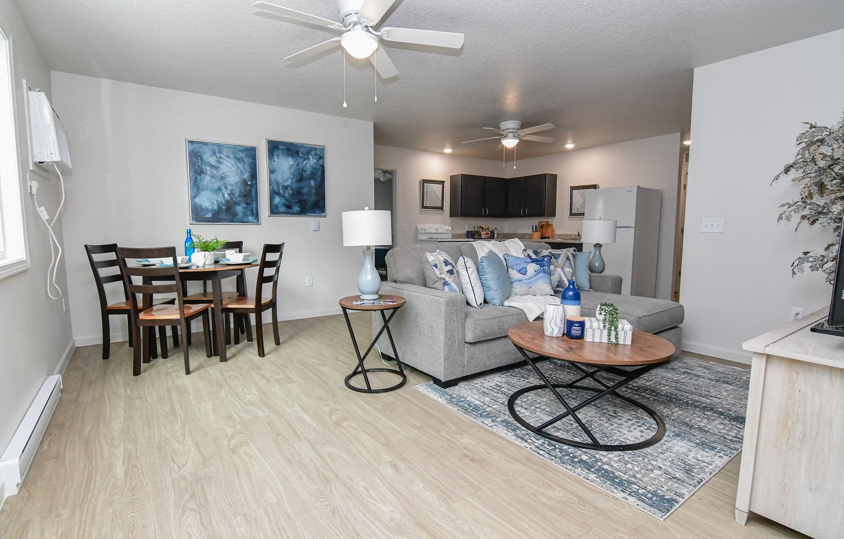 Boone Townhome: 680 S Marion St.