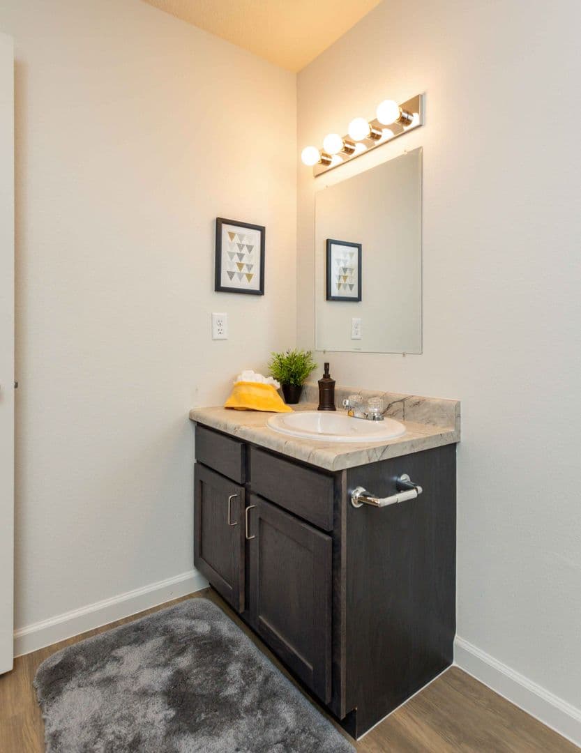 Knoxville Apartment: 509 W Bell Ave