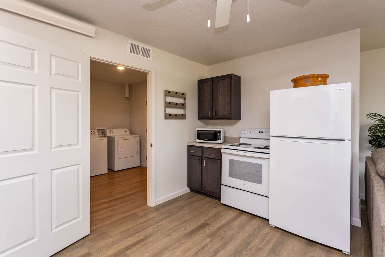 Knoxville Apartment: 509 W Bell Ave