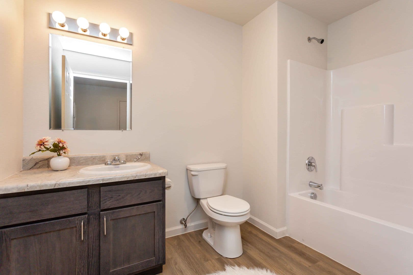 Knoxville Apartment: 509 W Bell Ave