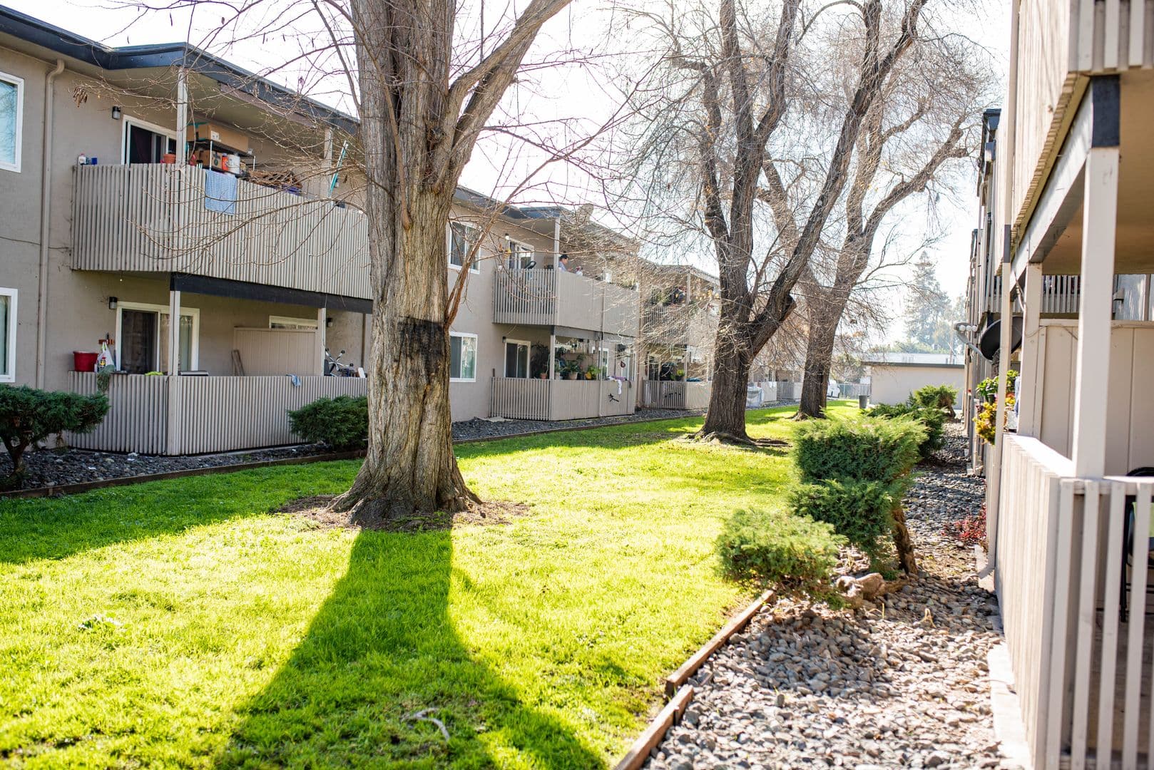HAYWARD Apartment: 25341 CYPRESS AVE.