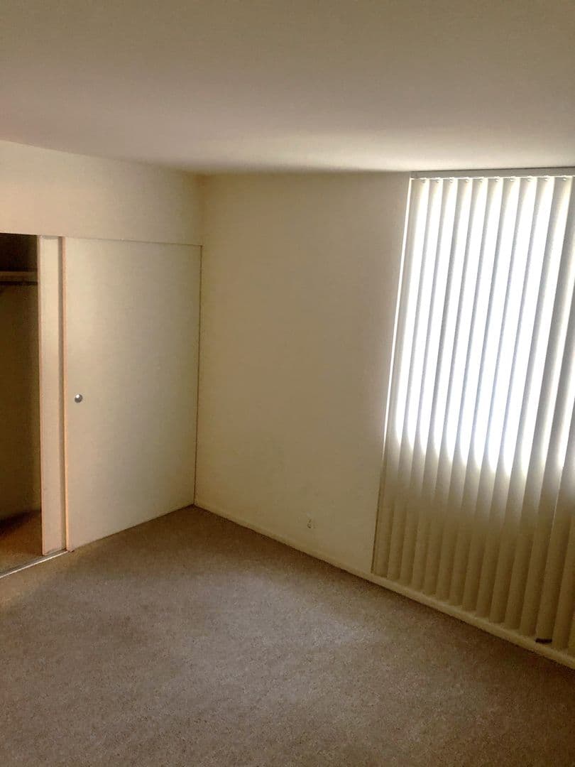 Berkeley Apartment: 1550 Walnut St Apt 01