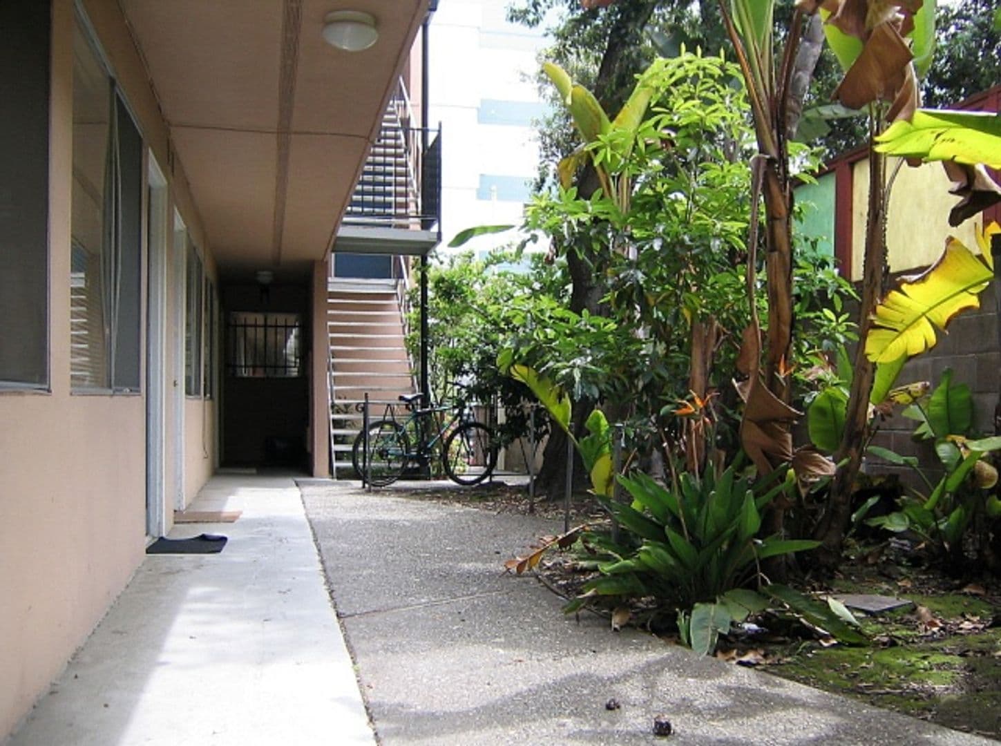 Berkeley Apartment: 2115 Haste St, Apt 208