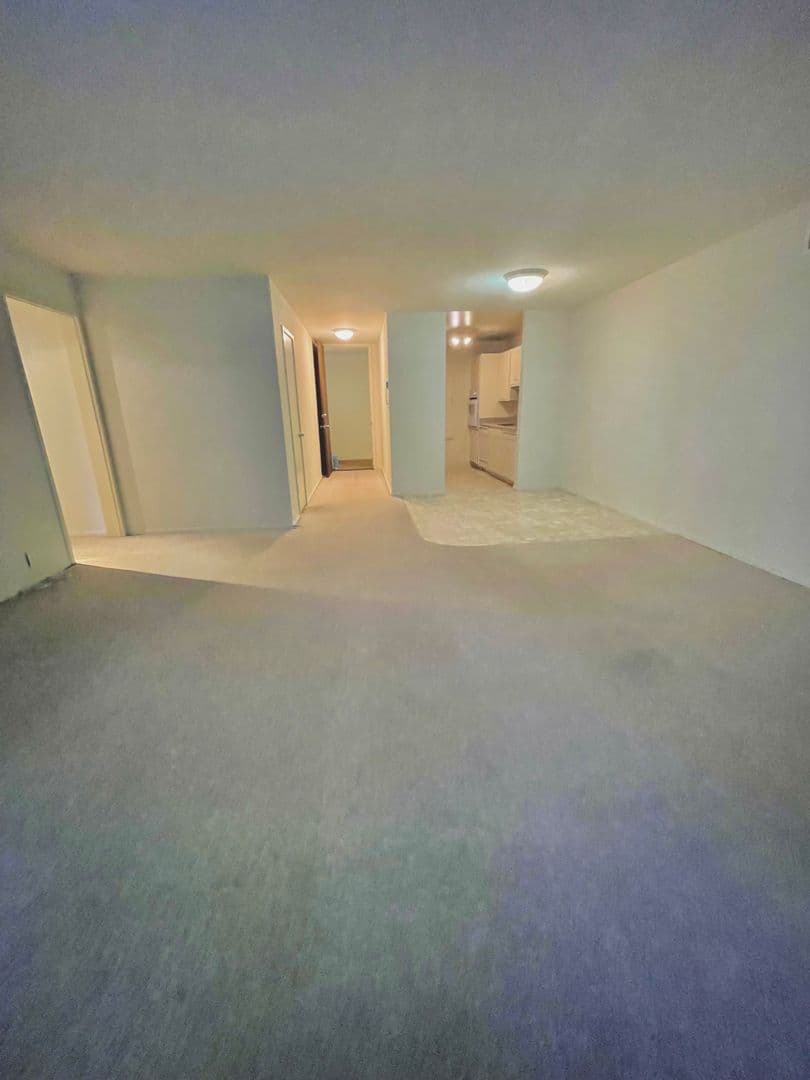 Berkeley Apartment: 1550 Walnut St Apt 03