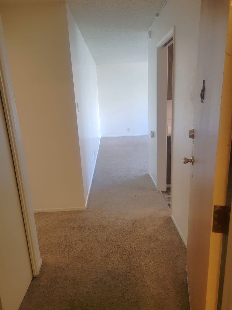 Berkeley Apartment: 2724 Channing Way