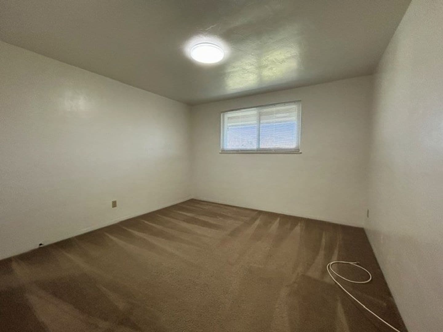 Alameda Apartment: 905 Santa Clara Ave., Unit M