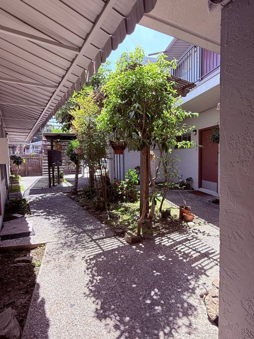 Berkeley Apartment: 2140 Roosevelt Avenue
