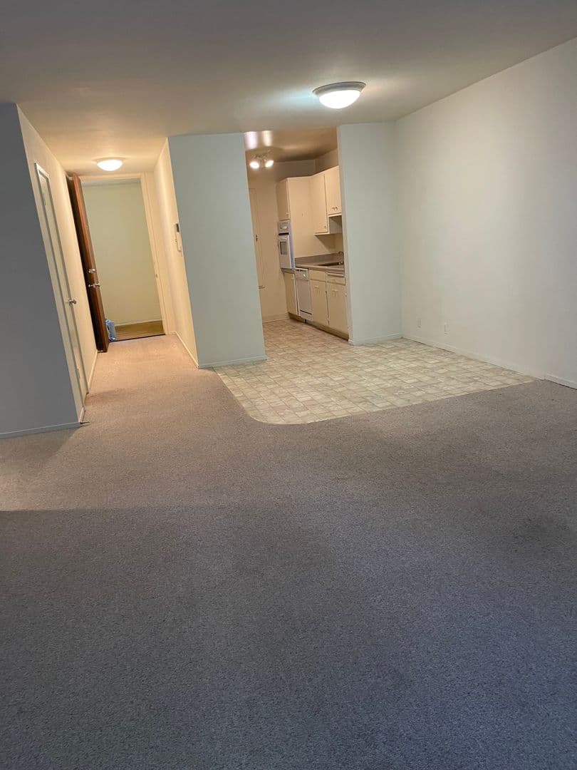 Berkeley Apartment: 1550 Walnut St Apt 03