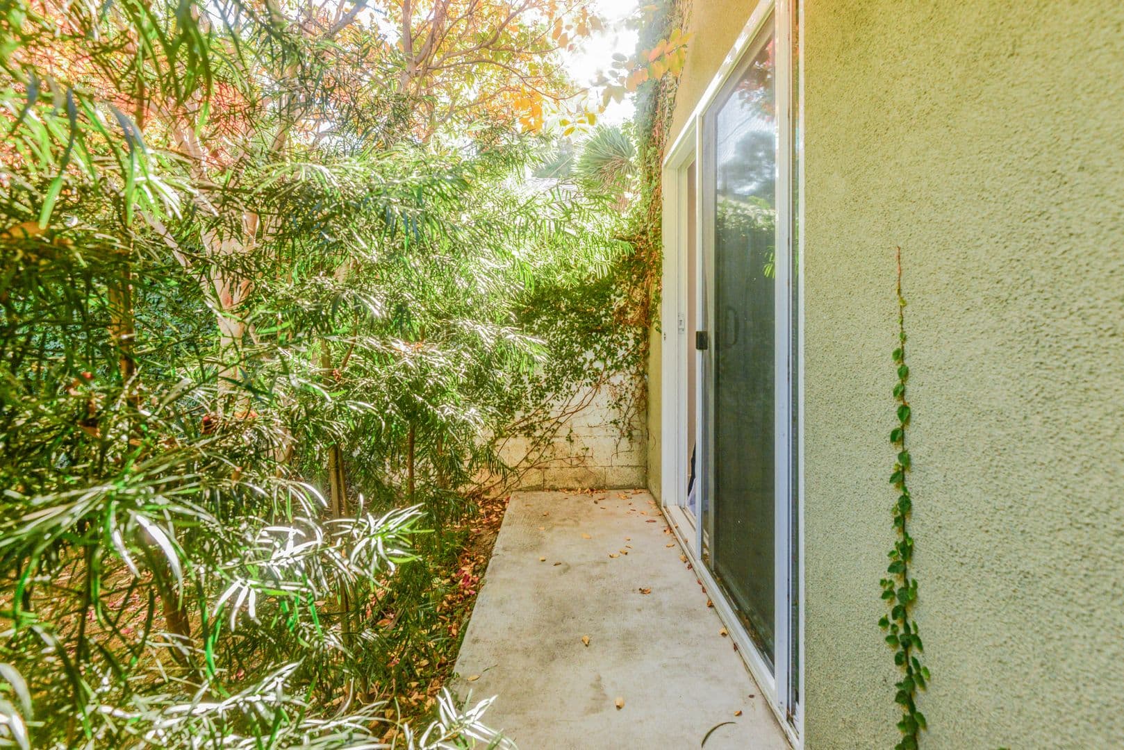 Los Angeles Apartment: 8972 W 24th St