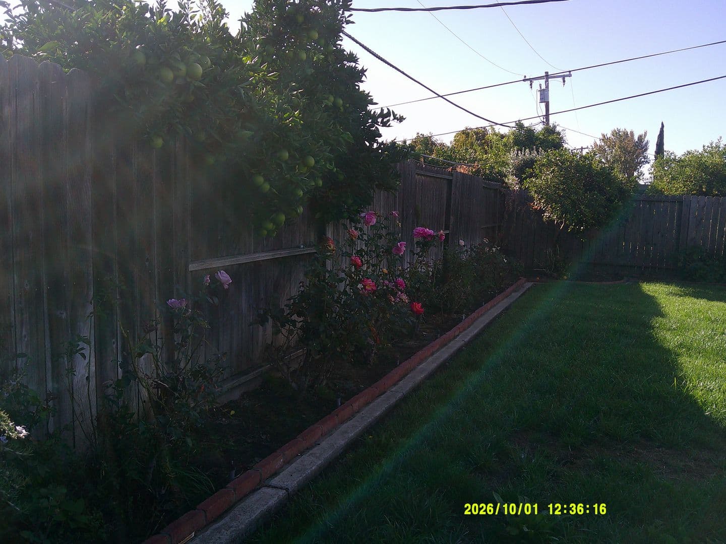 Fairfield House: 1754 Hemlock Street