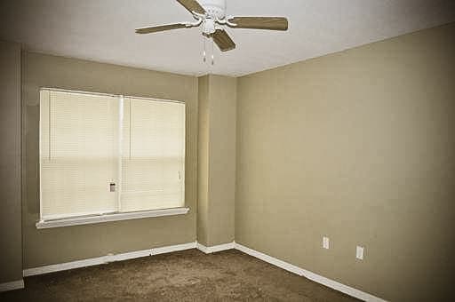 Petal Apartment: 612 S. George St