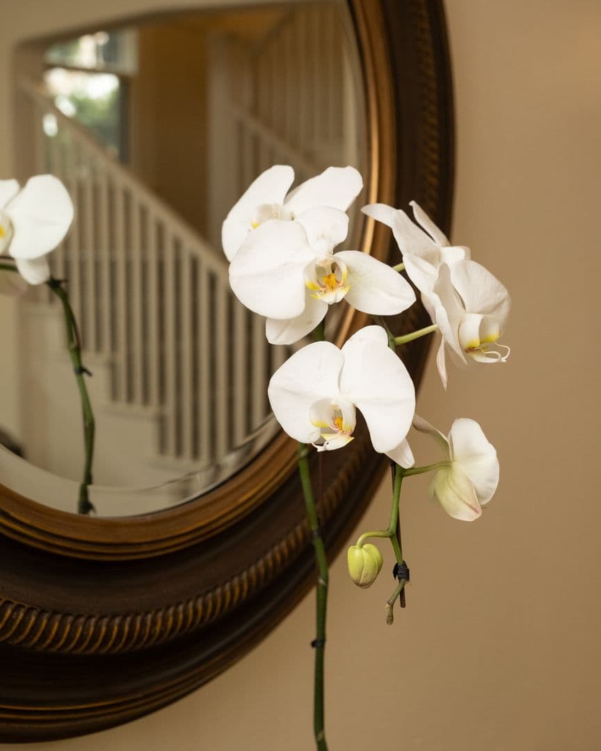 Portland Apartment: 1430 SE 14th Ave