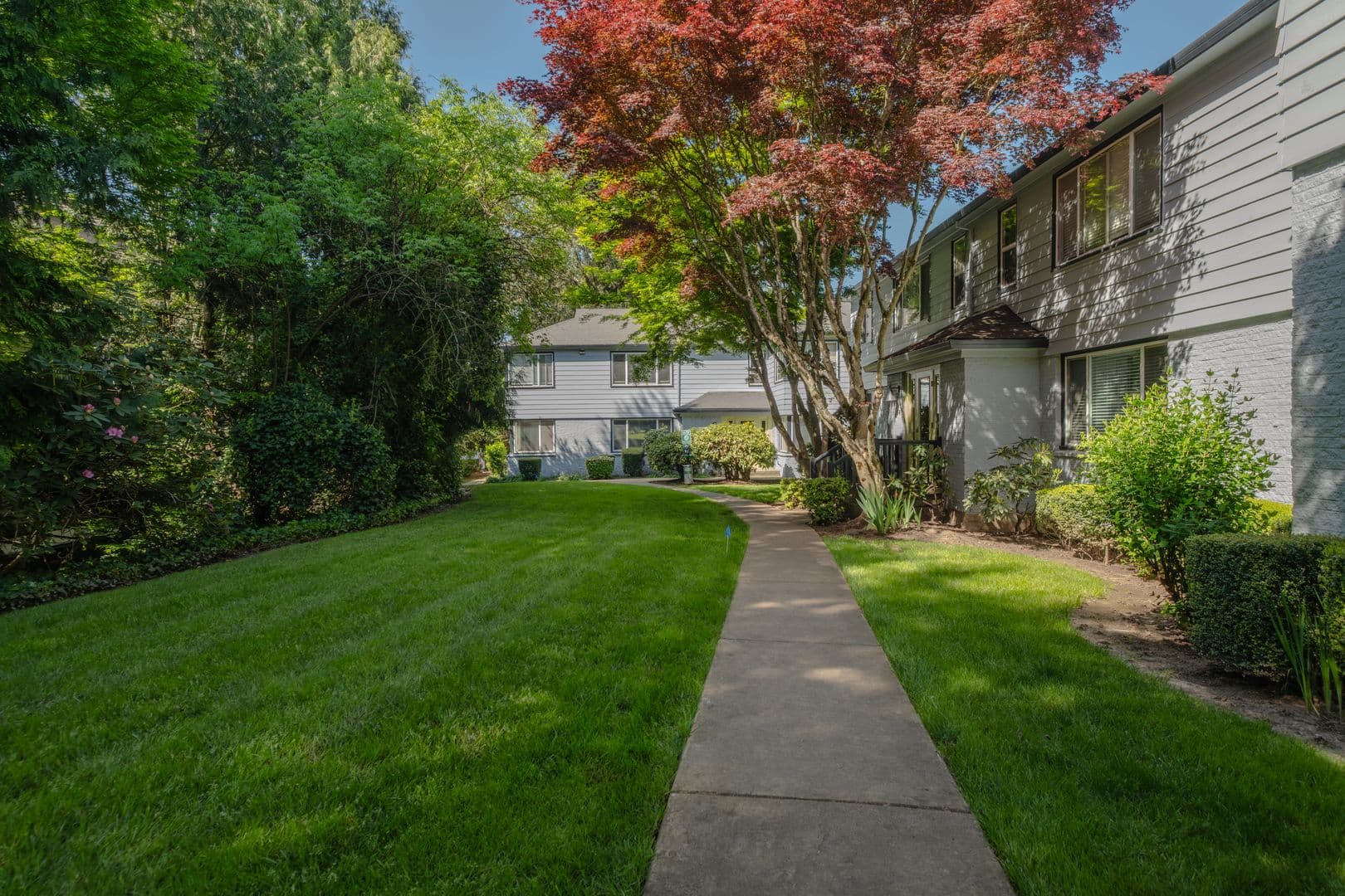 Lake Oswego Apartment: 295 3rd Street