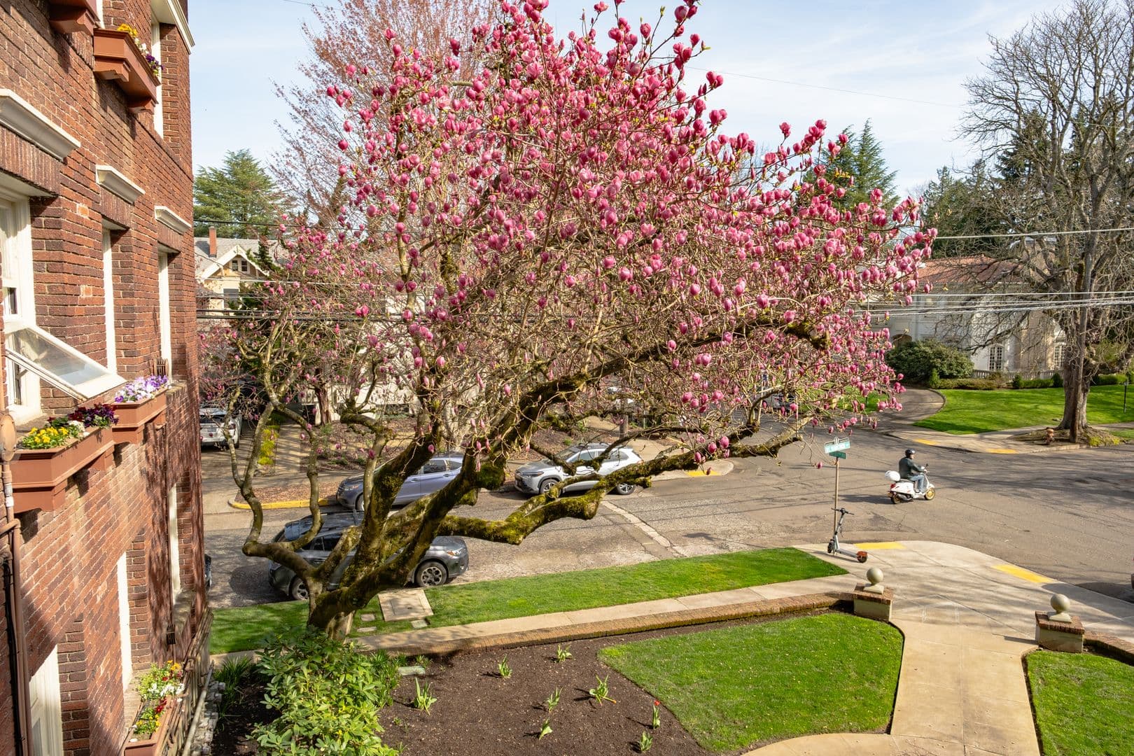 Portland Apartment: 2170 NE Hancock St