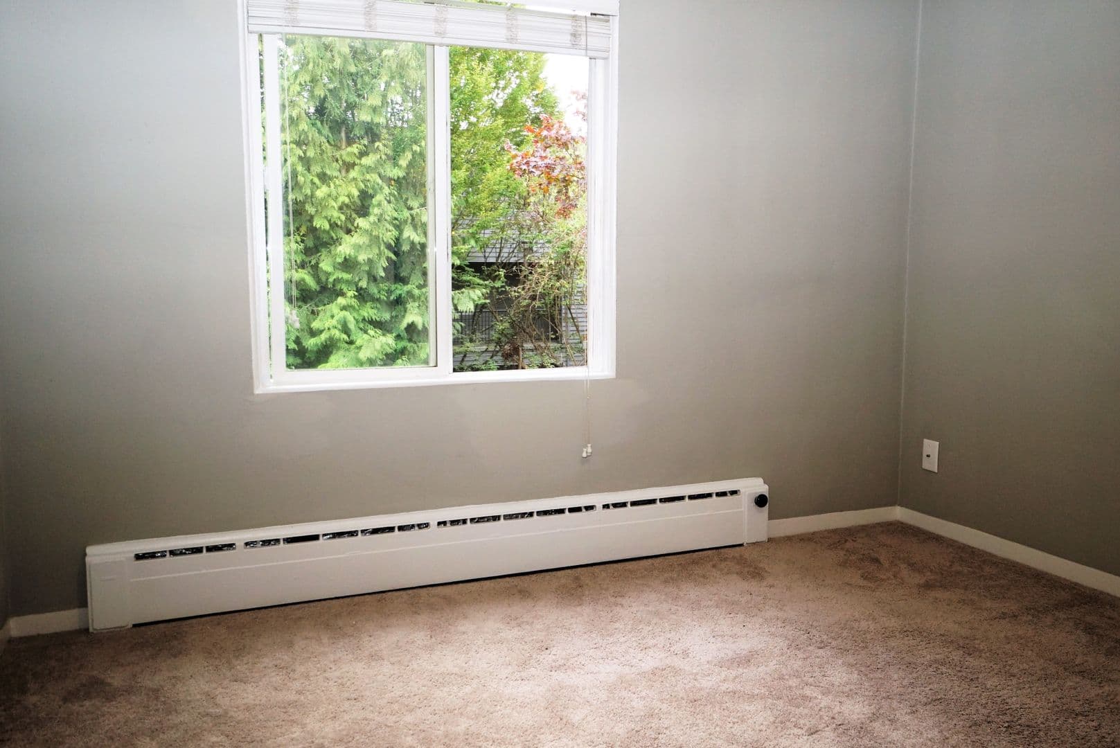 Lake Oswego Apartment: 295 3rd Street