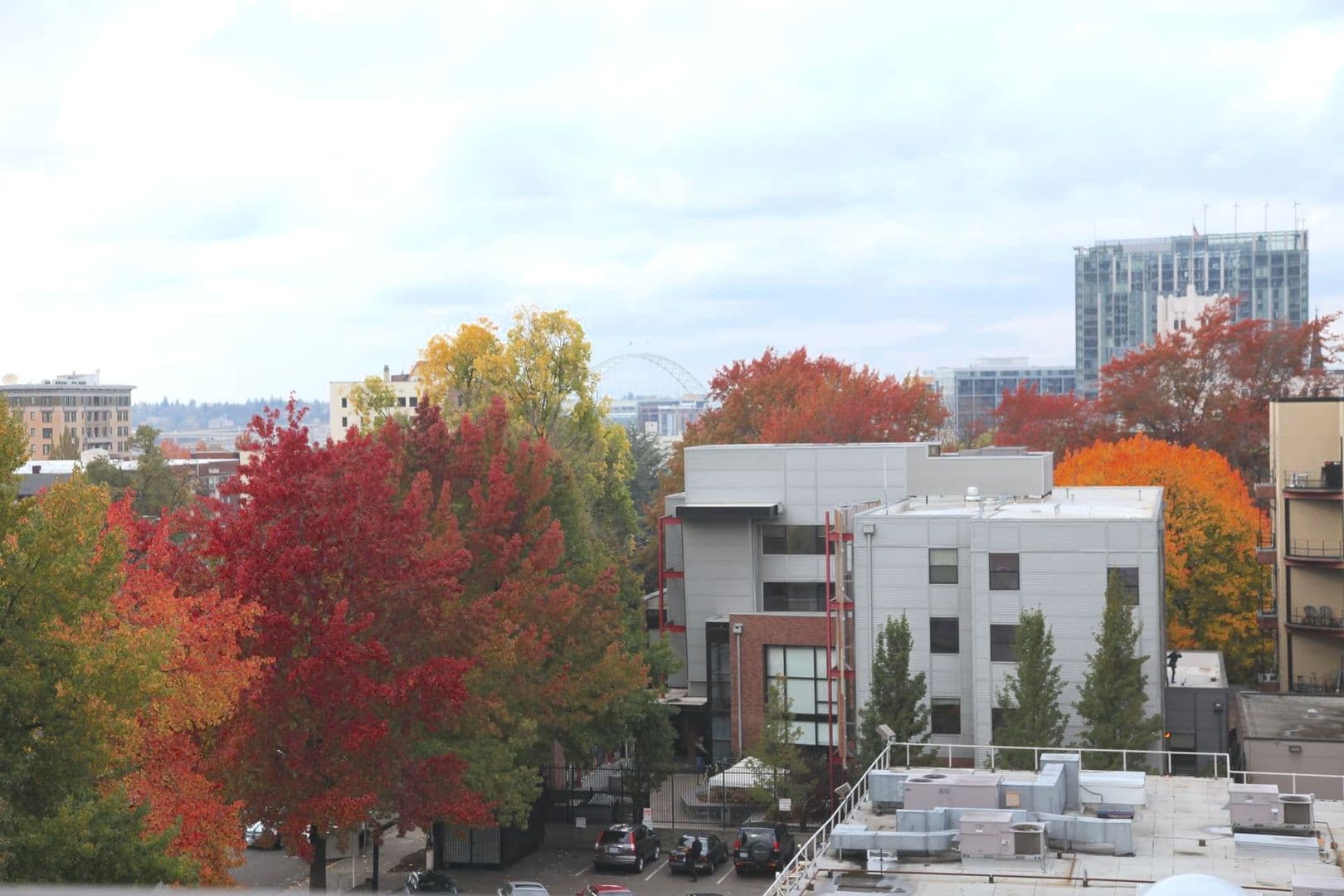 Portland Apartment: 1232 SW Jefferson St.