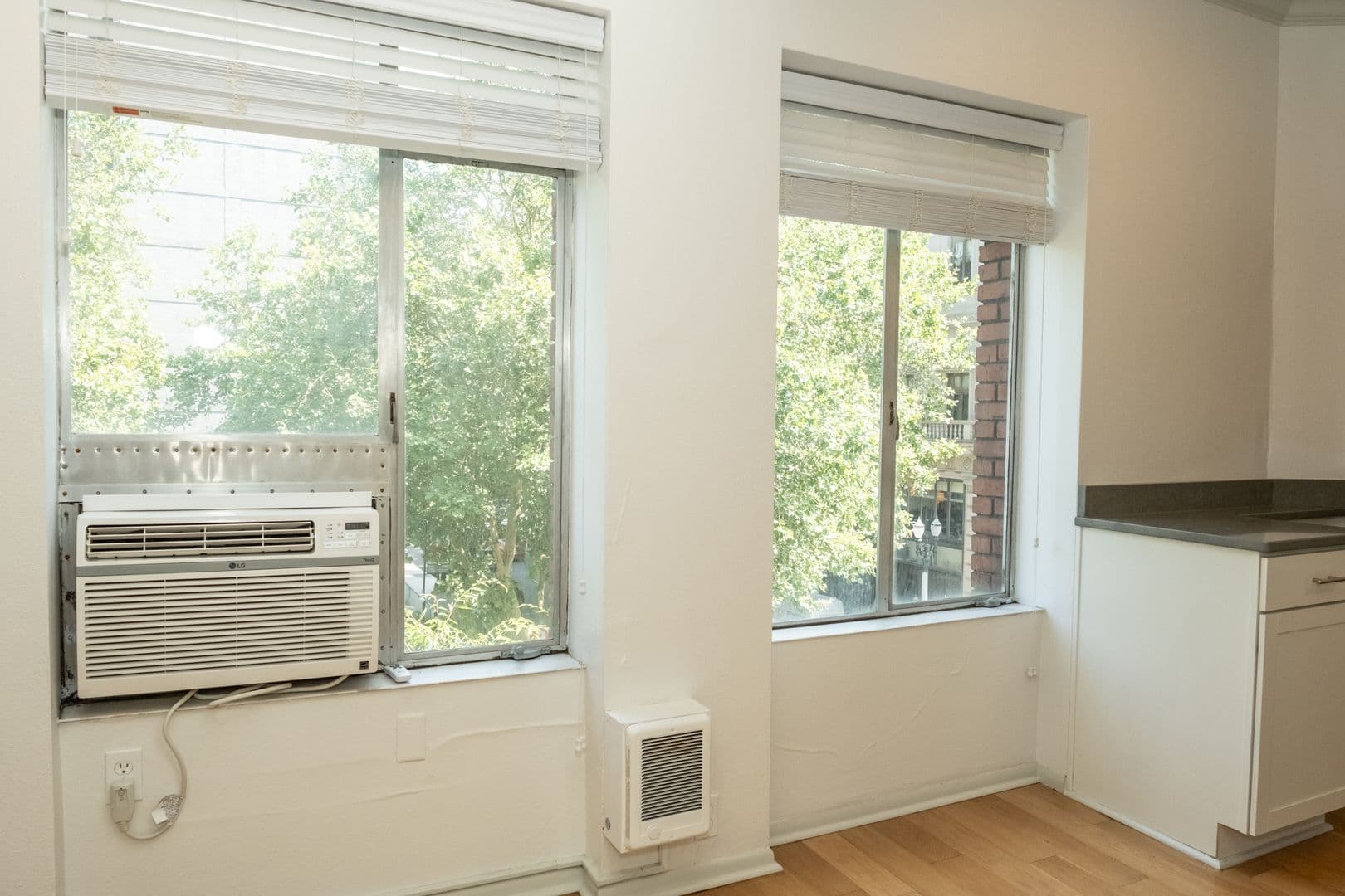 Portland Apartment: 1117 SW Alder St.
