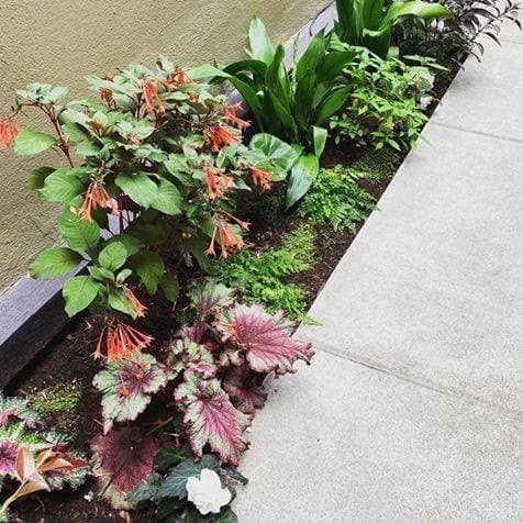 Portland Apartment: 707 NW 19th Ave