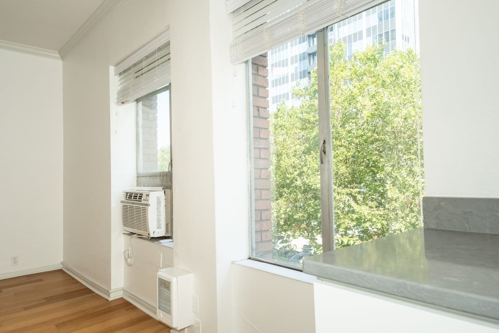 Portland Apartment: 1117 SW Alder St.