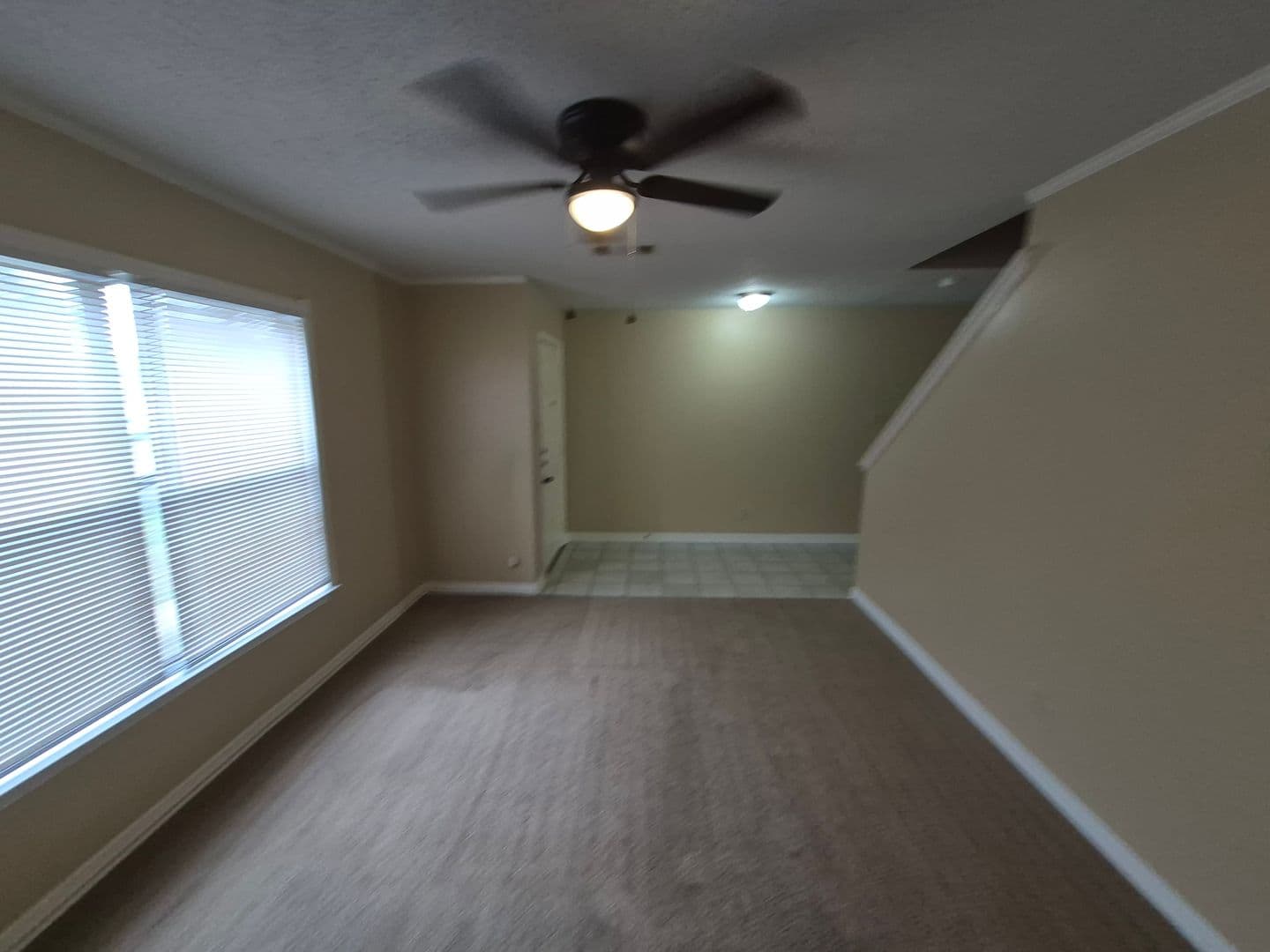 CONVERSE House: 8007 CHESTNUT BLUFF DR