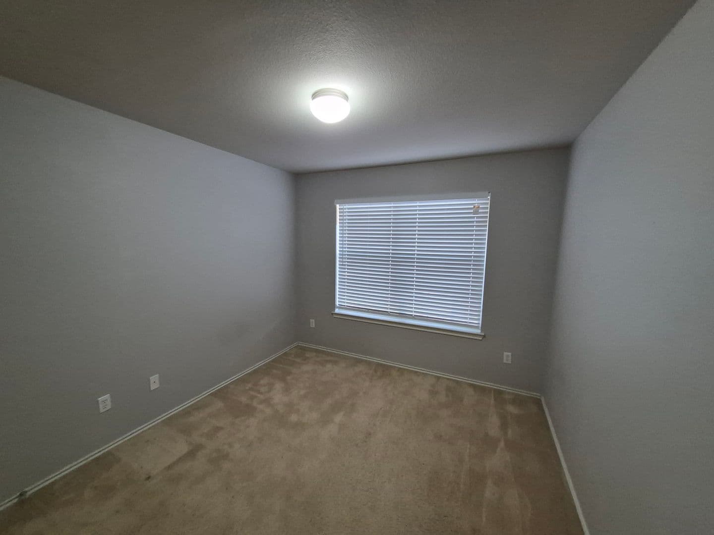 CIBOLO House: 216 HEREFORD