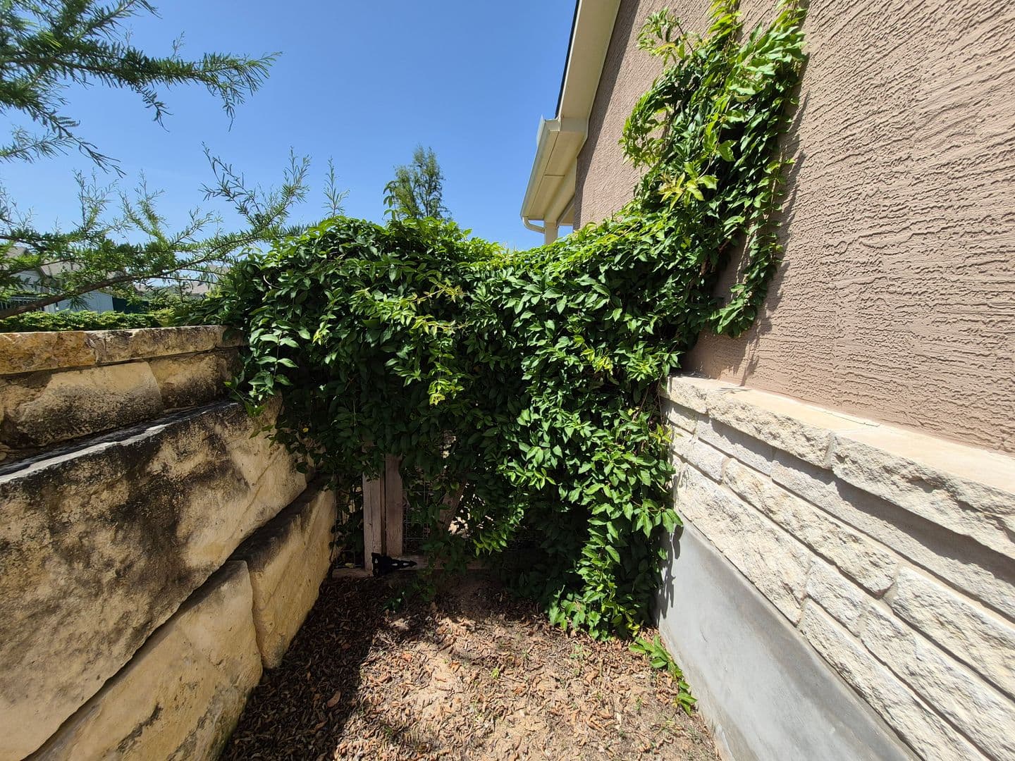 SCHERTZ House: 11612 HOLLERING PASS