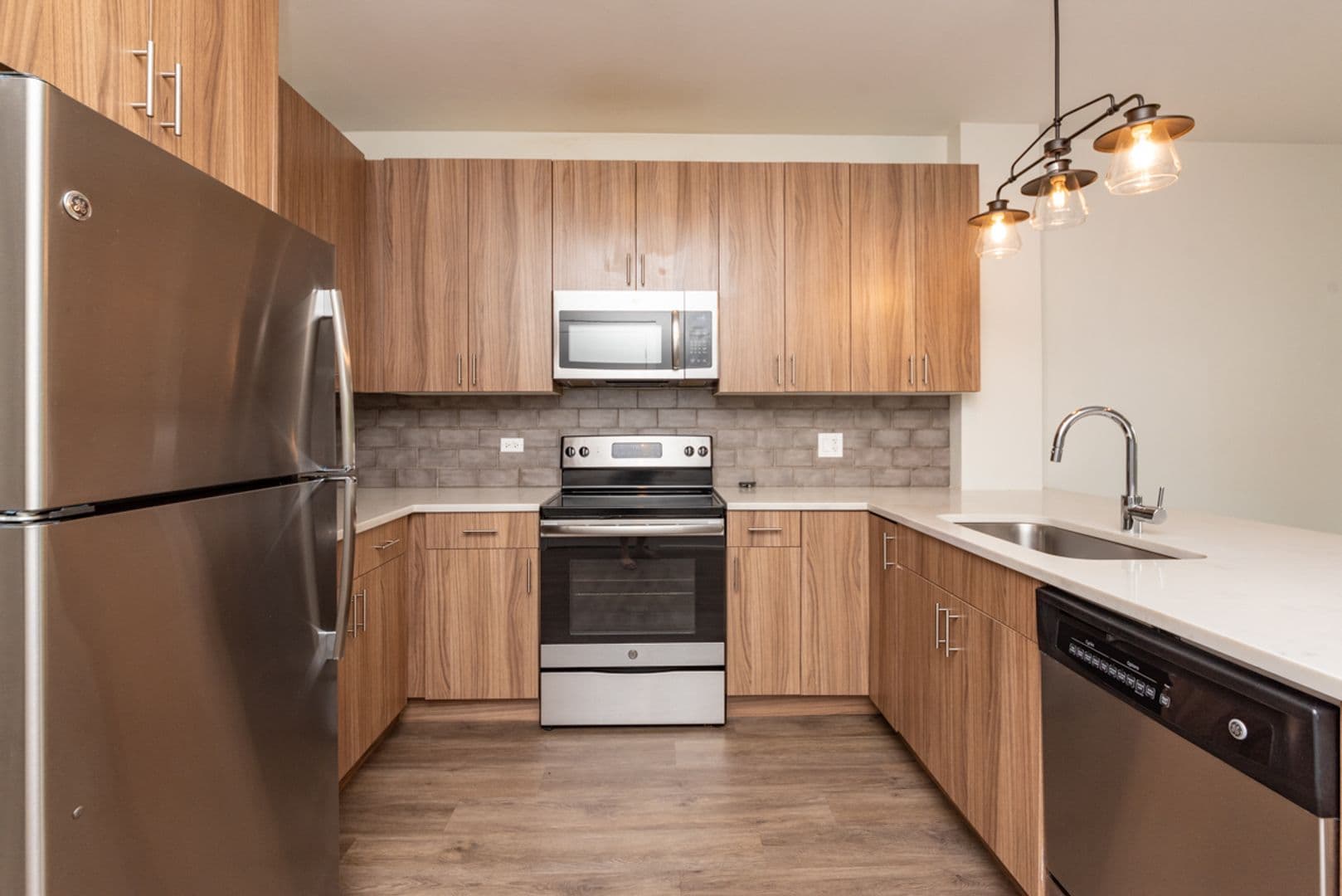 Chicago Apartment: 2109-11 S Halsted St.