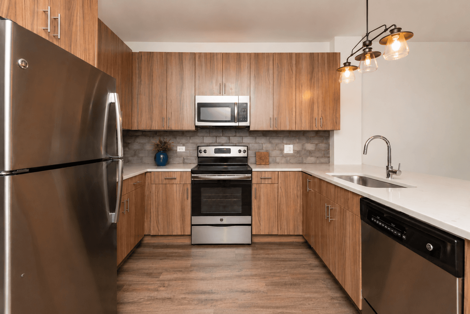Chicago Apartment: 2109-11 S Halsted St.