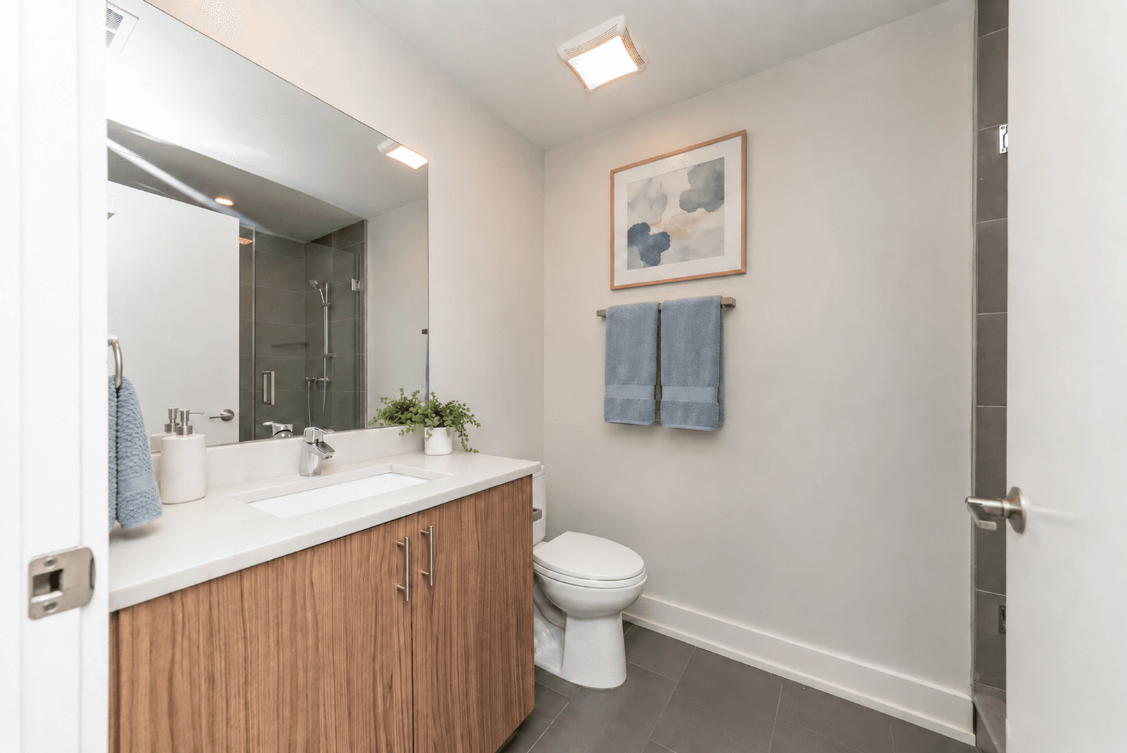 Chicago Apartment: 2109-11 S Halsted St.