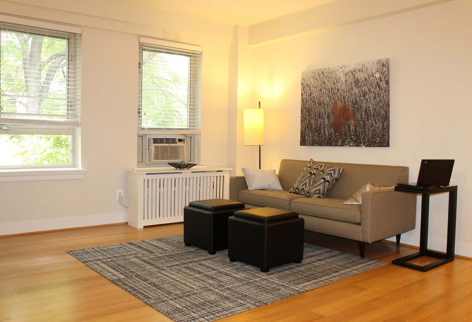 Washington Apartment: 2745 29th Street, NW